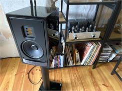 Martin Logan Motion 15I Red orzech