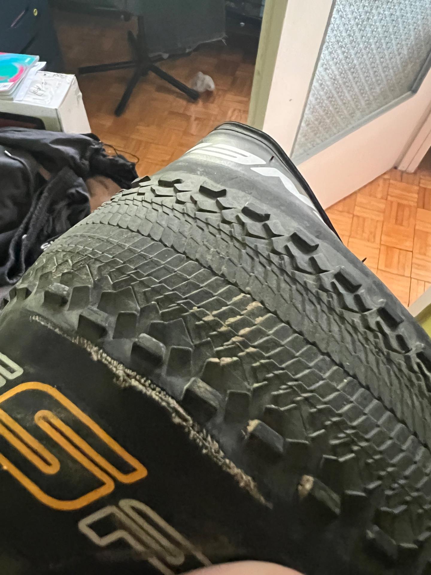 Continental Zwijana Speed King 26X2.2 Racesport - Ceny i opinie