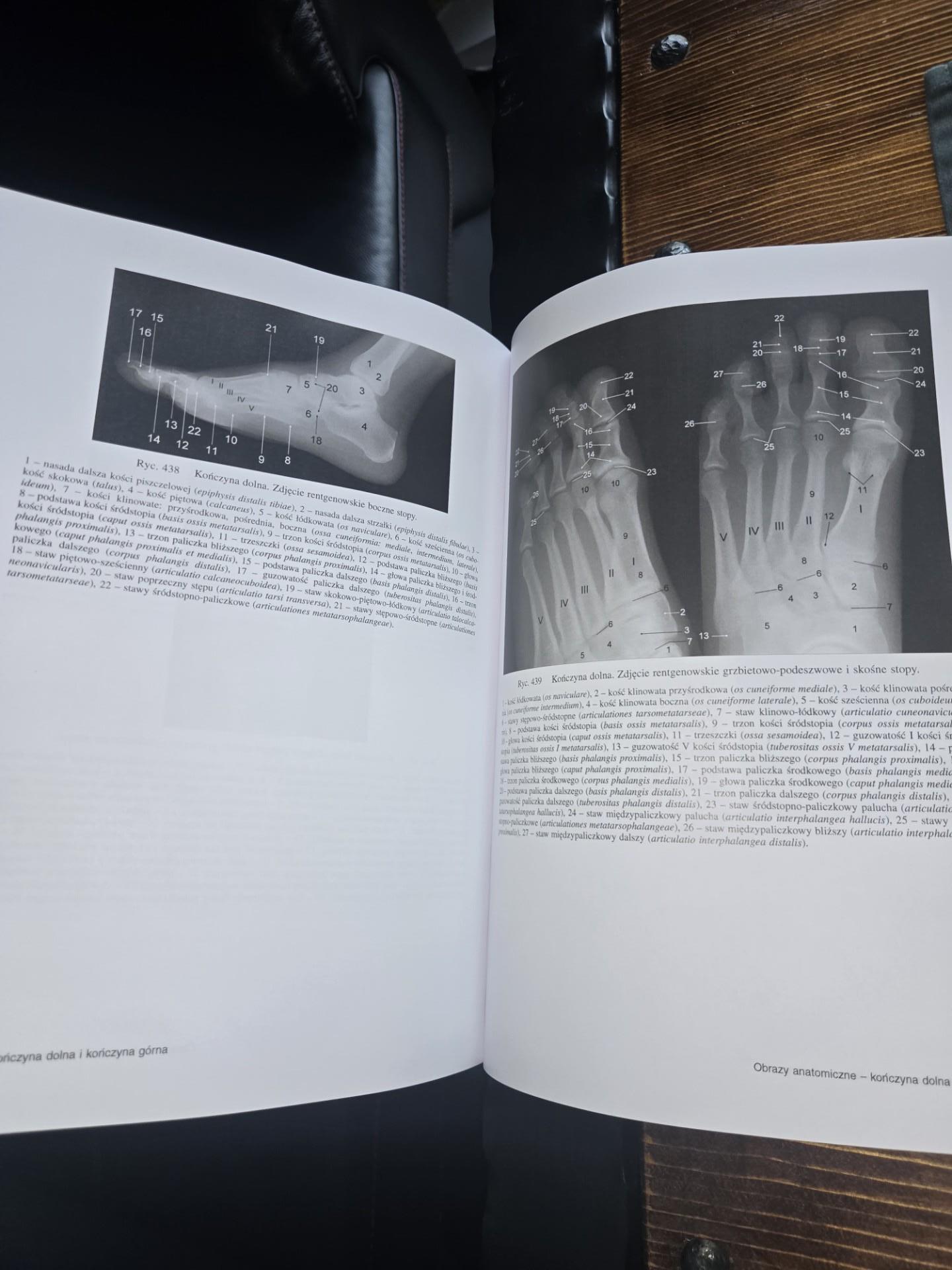 Anatomia radiologiczna rtg tk mr usg - ceny i opinie - Ceneo.pl