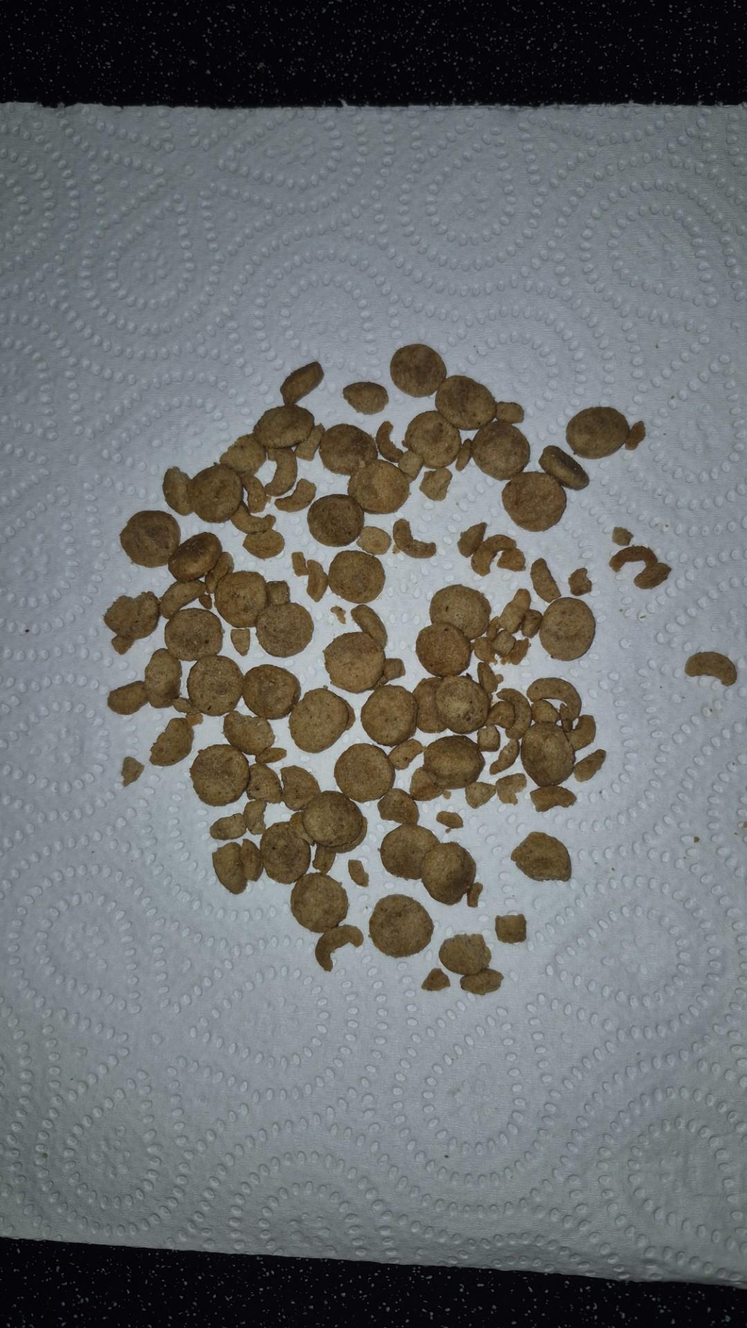 VET LIFE NATURAL DIET DOG PORK & POTATO 2KG
