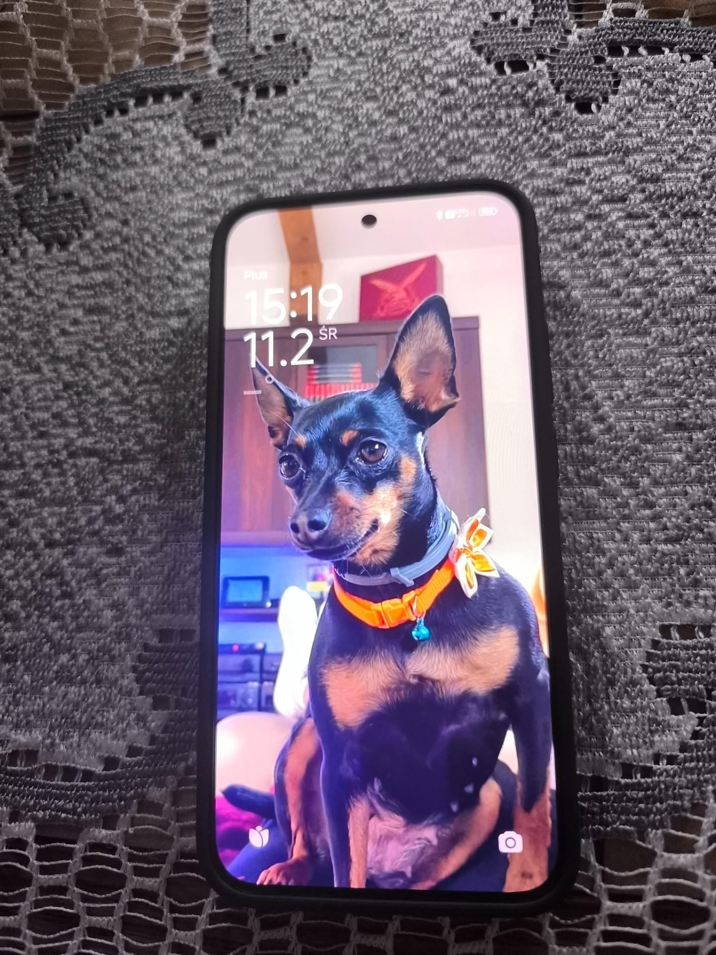 Redmi R70 Redmi Note 15 Pro 5G 12/512GB Czarny - Cena, opinie na Ceneo.pl