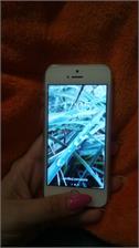 Apple iPhone SE 32GB Złoty