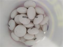 IBUPROM REGULAR 50 tabl.