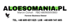 Logotyp